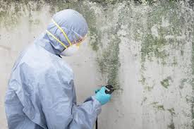 Best Air Quality Testing for Mold Spores  in Neenah, WI